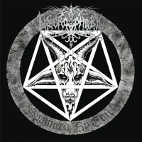 Виниловая пластинка Necrophobic - Spawned by Evil (Black Vinyl LP)