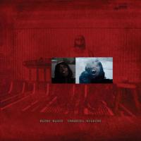 Виниловая пластинка Immanuel Wilkins - Blues Blood (Black Vinyl 2LP)