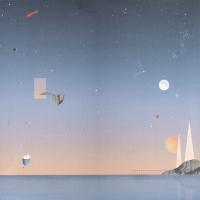 Виниловая пластинка Ash Walker - Astronaut (Rose / Pink Vinyl LP)
