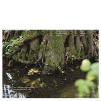 Виниловая пластинка Martynov, Gosha; Sinyakova, Natasha - Imena Rek (Black Vinyl LP)