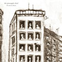 Виниловая пластинка The Pineapple Thief - 10 Stories Down (Marbled Vinyl LP)