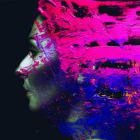 Виниловая пластинка Steven Wilson - Hand. Cannot. Erase. (Black Vinyl 2LP)