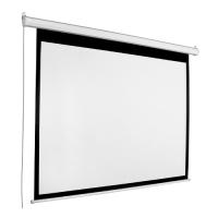 Экран Draper Accuscreen Electric NTSC (3:4) 305/10' (69x92") 175*234 MW800041  168301