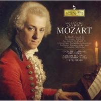 Виниловая пластинка Wolfgang Amadeus Mozart - The Golden Masterpieces (Black Vinyl LP)