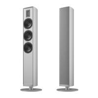 Напольная акустика Piega Premium 701 Gen 2 Silver
