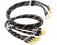 Кабель акустический Vincent Bi-Wire Cable 2x2.0m (aluminium case)