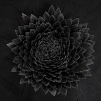 Виниловая пластинка Jonsi - Obsidian (Black Gold Galaxy Vinyl 2LP)