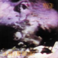 Виниловая пластинка Ministry - The Land Of Rape And Honey - deluxe (Black Vinyl 2LP)