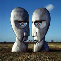 Виниловая пластинка Pink Floyd - The Division Bell (Black Vinyl 2LP)