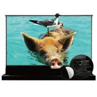 Напольный корпусный ALR-экран VividStorm S-Pro-P-Black-120