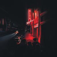 Виниловая пластинка Andy Shauf - The Neon Skyline (Black Vinyl LP)