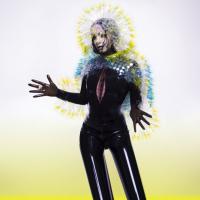 Виниловая пластинка Bjork - Vulnicura (Black Vinyl 2LP)