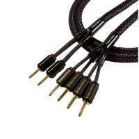 Кабель акустический Tributaries 6BW-B-100D 10 ft. 3m (2X4 Banana)
