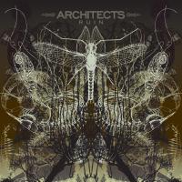 Виниловая пластинка Ruin - Architects (180 Gram Black Vinyl LP)