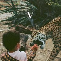 Виниловая пластинка Unknown Mortal Orchestra - V (Black Vinyl 2LP)