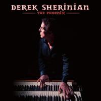 Виниловая пластинка Derek Sherinian The Phoenix