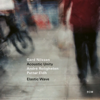 Виниловая пластинка Gard Nilssen - Elastic Wave (Black Vinyl LP)
