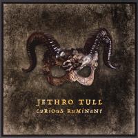 Виниловая пластинка Jethro Tull - Curious Ruminant (Black Vinyl LP)