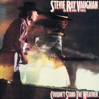 Виниловая пластинка Stevie Ray Vaughan - Couldn't Stand The Weather (Analogue) (Black Vinyl 2LP)