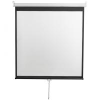 Экран Digis DSOD-1107 (Optimal-D, формат 1:1, 135", 248x249, рабочая поверхность 240x240, MW)
