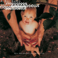 Виниловая пластинка Goo Goo Dolls - Boy Named Goo (Black Vinyl 2LP)