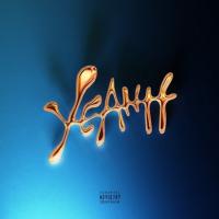 Виниловая пластинка Скриптонит - YEAHH (Picture Vinyl 2LP)