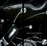 Виниловая пластинка David Sylvian - Camphor II (Translucent White Vinyl 2LP)