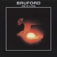 Виниловая пластинка Bruford - One Of A Kind (Black Vinyl LP)