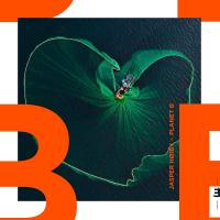 Виниловая пластинка Jasper Hoiby - Planet B (Black Vinyl LP)