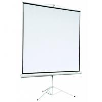 Экран Digis DSKD-1104 (Kontur-D, формат 1:1, 96", 178x181, рабочая поверхность 172x172, MW)