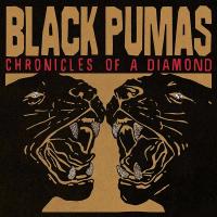 Виниловая пластинка Black Pumas - Chronicles Of A Diamond (Clear Vinyl LP)