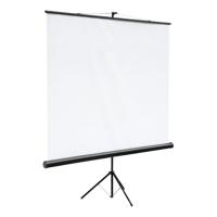 Экран Classic Solution Classic Libra 180x180 (T 180x180/1 MW-ST/B)