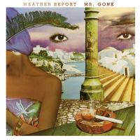 Виниловая пластинка Weather Report - Mr. Gone (Gold & Black Marbled Vinyl LP)