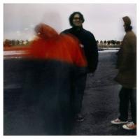 Виниловая пластинка Yo La Tengo - Summer Sun (Black Vinyl LP)