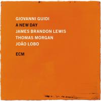 Виниловая пластинка Giovanni Guidi - A New Day (Black Vinyl LP)