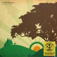Виниловая пластинка The Academy Is… — ALMOST HERE (Fueled By Ramen 25th Anniversary Silver Edition Vinyl)
