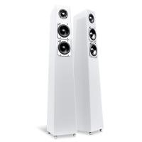 Напольная акустика Totem Acoustic Tribe Tower Satin White