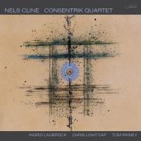 Виниловая пластинка Nels Cline -  Consentrik Quartet (Black Vinyl 2LP)