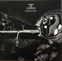 Виниловая пластинка Shabaka Hutchings - Wisdom Of Elders (Black Vinyl 2LP)