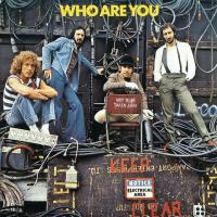 Виниловая пластинка The Who - Who Are You (Half Speed) (Black Vinyl LP)