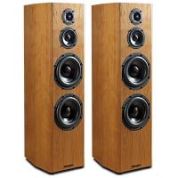 Напольная акустика Bryston  MODEL MIDDLE T