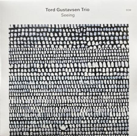 Виниловая пластинка Tord Gustavsen - Seeing (Black Vinyl LP)
