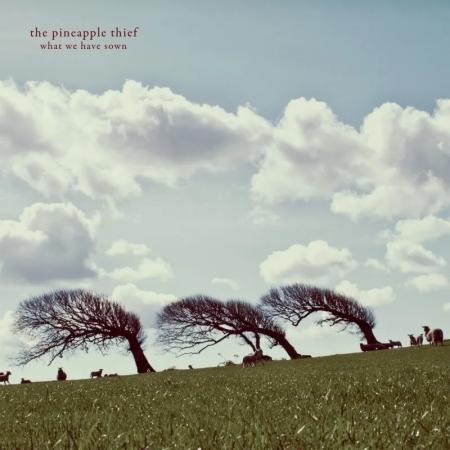 Виниловая пластинка The Pineapple Thief - What We Have Sown (Black Vinyl 2LP)