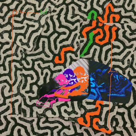 Виниловая пластинка Animal Collective - Tangerine Reef (Black Vinyl 2LP)
