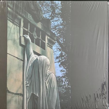 Виниловая пластинка Dead Can Dance — WITHIN THE REALM OF A DYING SUN (LP)