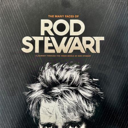 Виниловая пластинка Various Artists - The Many Faces Of Rod Stewart  (Crystal Amber Vinyl 2LP)