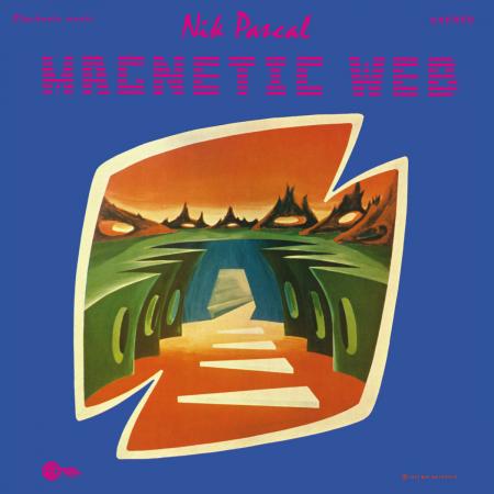 Виниловая пластинка Nik Raicevic - Magnetic Web (Black Vinyl LP)