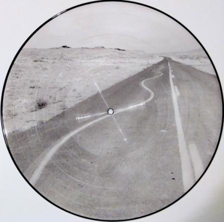 Виниловая пластинка Manic Street Preachers - Critical Thinking (Picture Vinyl LP)