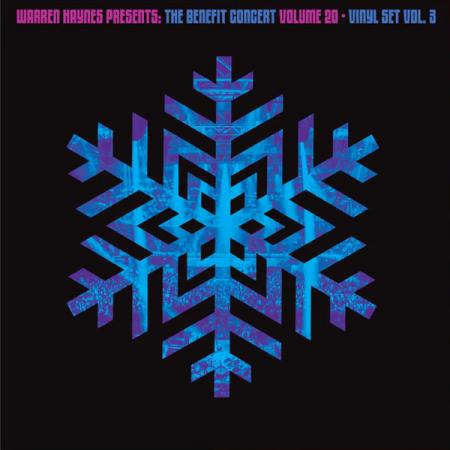 Виниловая пластинка Various Artists - Warren Haynes Presents: The Benefit Concert Volume 20 Vinyl Vol. 3 (Blue Vinyl 2LP)