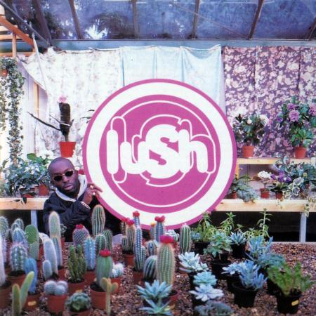 Виниловая пластинка Lush - Lovelife (Limited Clear Vinyl LP)